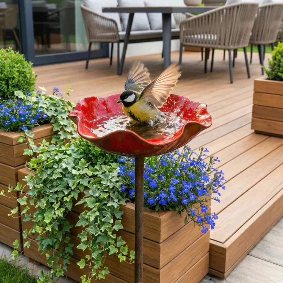 FeatherBloom - Roter Vogelfutterautomat mit Wasserschale