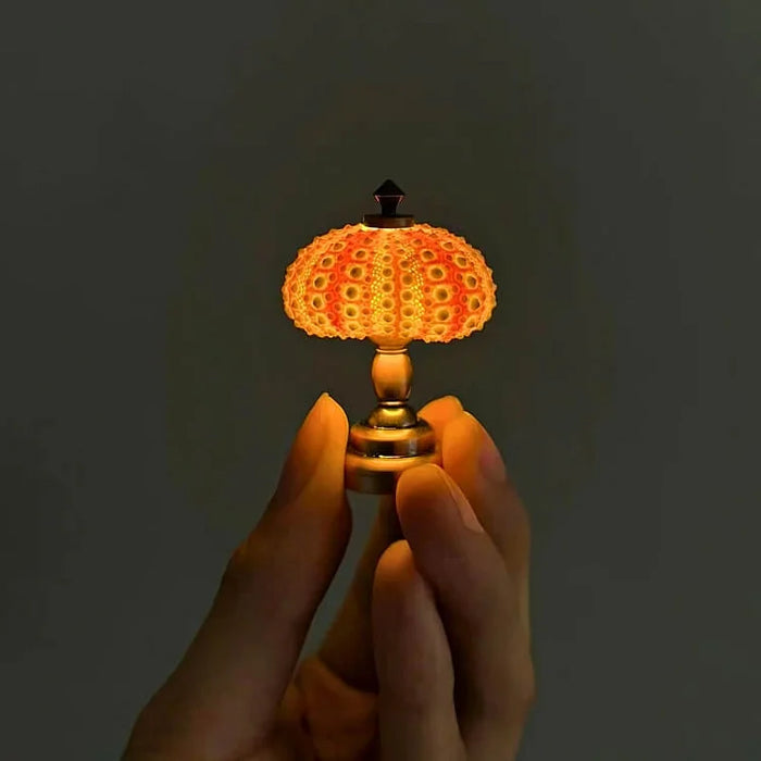 Nuova - DIY-Seeigel-Nachtlicht