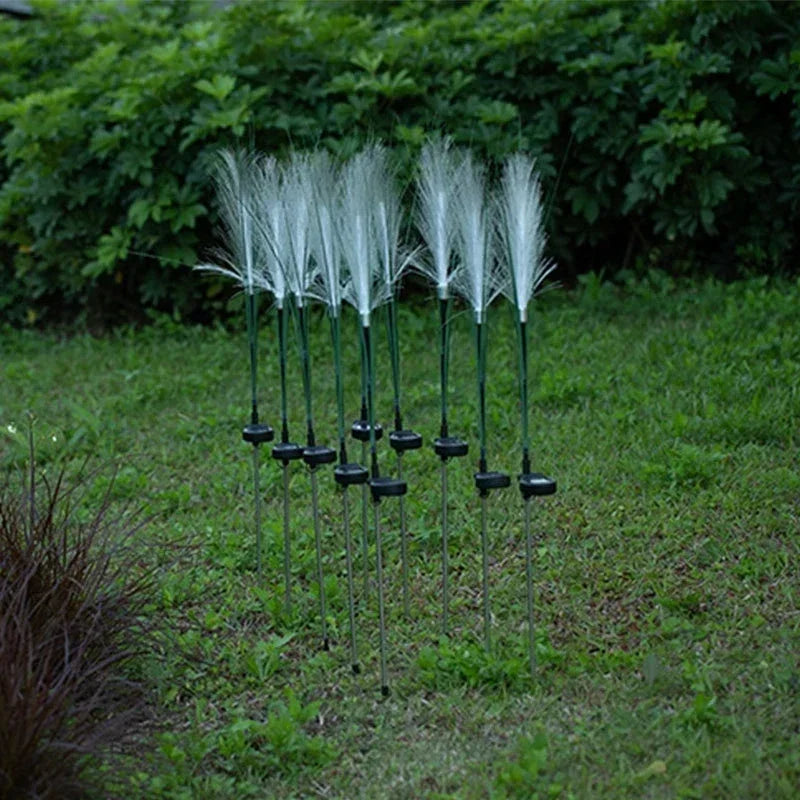 Nuova - Solar-Gartenleuchten für Pampasgras