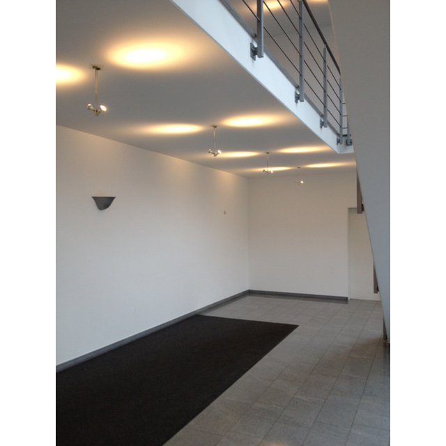 Hamus - 2 LED-Deckenleuchte, Schwarz und Gold