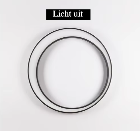 Vortia - Edelstahl-Außenwandleuchte IP65