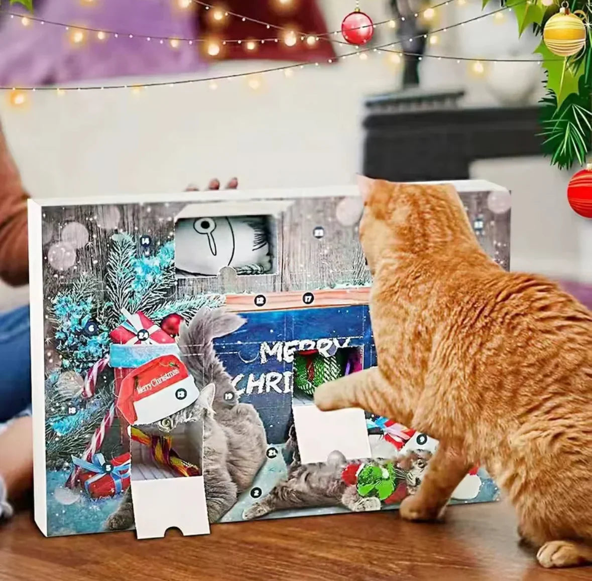Pawcember - Adventskalender für Haustiere mit 24 Spielzeugen