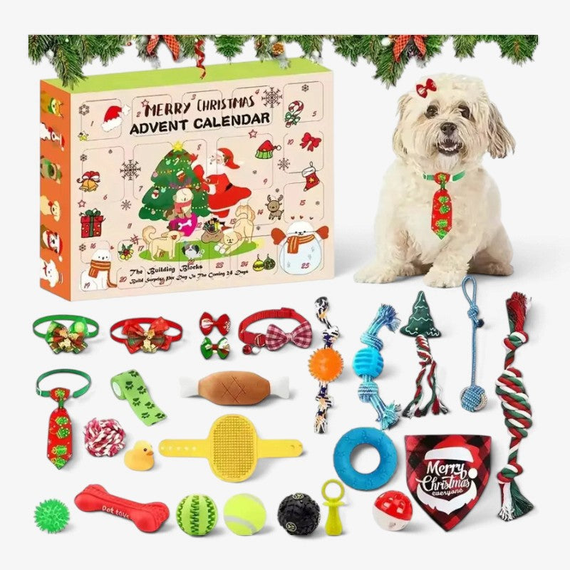 Pawcember - Adventskalender für Haustiere mit 24 Spielzeugen