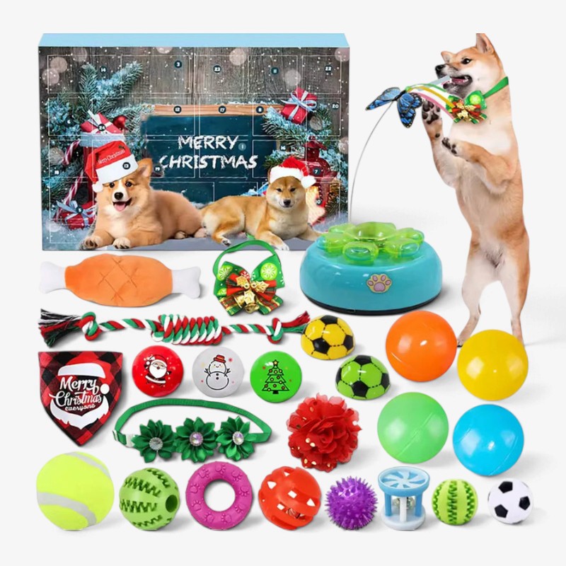 Pawcember - Adventskalender für Haustiere mit 24 Spielzeugen