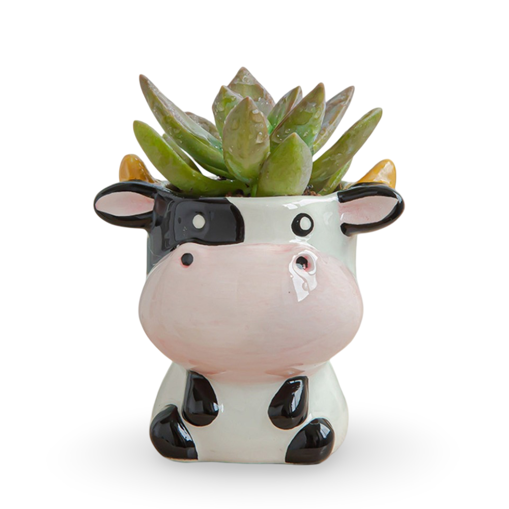 Tierische Sukkulenten Pflanzgefäße – Kreative Töpfe für Ihre Pflanzen