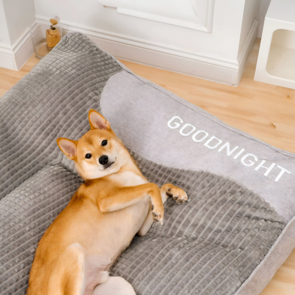 Anti-Stress Hundebett Beruhigend – Weiches Polster & Rand – XL bis 3XL
