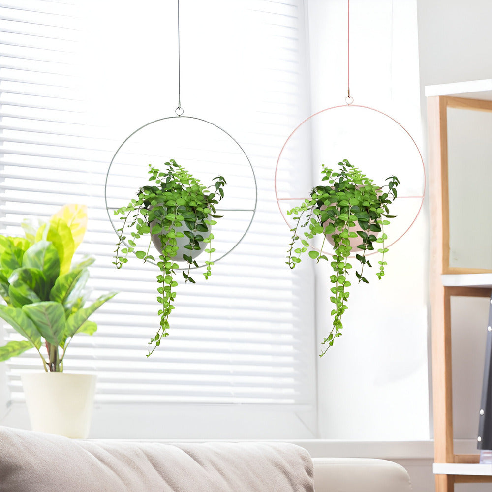 Eleganter Metall Hängertopf für Pflanzen – Stilvolle Wanddekoration für Innen- und Außenbereiche