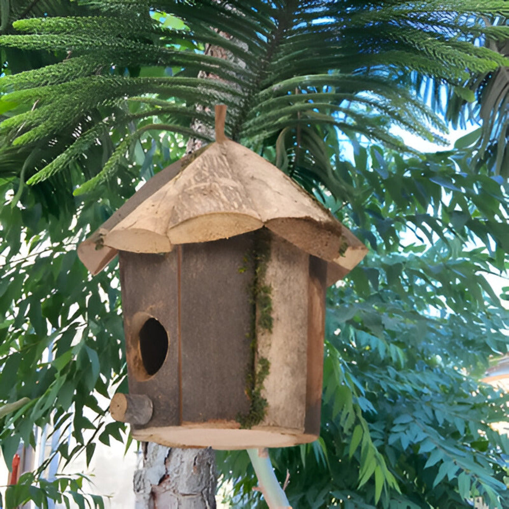 Holzvogelhaus - Natürlicher Holzvogelhaus -Kolibri-Nest
