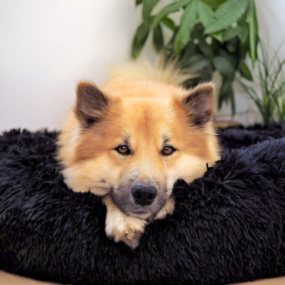 Paws - Bed - Donut Hundebett ultraweich aus Kunstfell mit