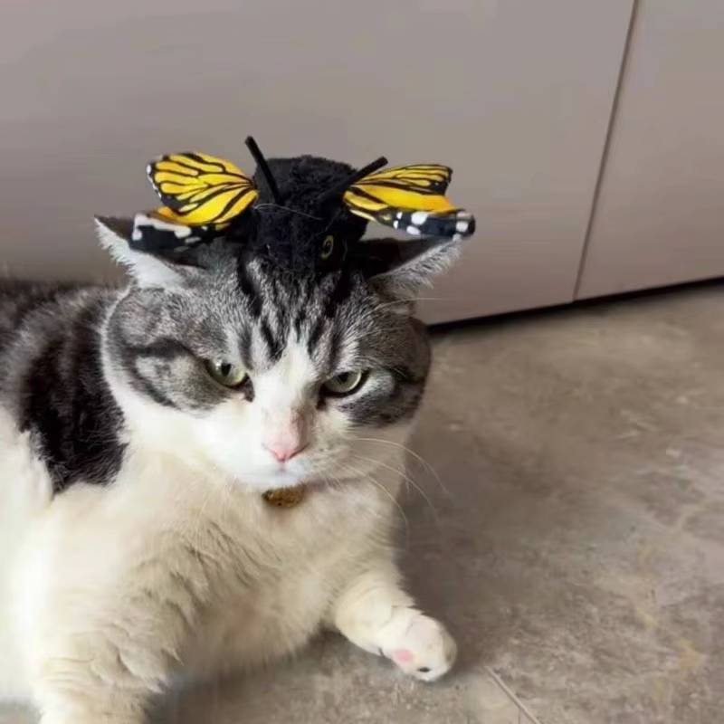 FlutterMews - Automatisches Schmetterlingsspielzeug für Katzen mit Bewegungssensor