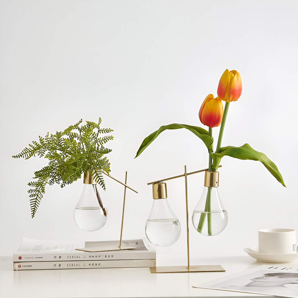 Stilvolle Vermehrungsvase für Zuhause und Büro | Elegantes Design für das Wachstum von Einzel- und Doppelpflanzen