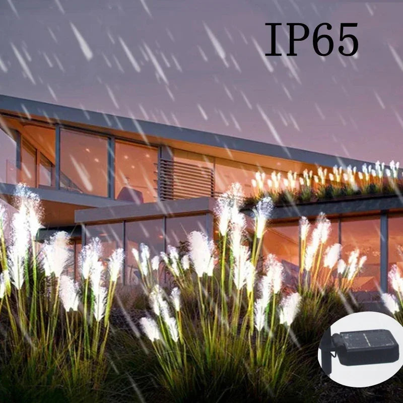 Nuova - Solar-Gartenleuchten für Pampasgras