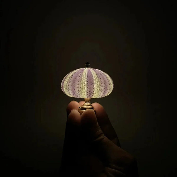 Nuova - DIY-Seeigel-Nachtlicht