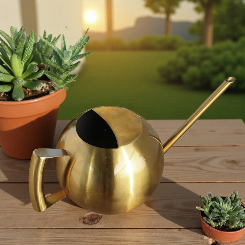 Elegante Zimmer-Gießkanne für Blumen und Pflanzen