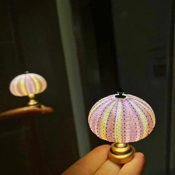 Nuova - DIY-Seeigel-Nachtlicht