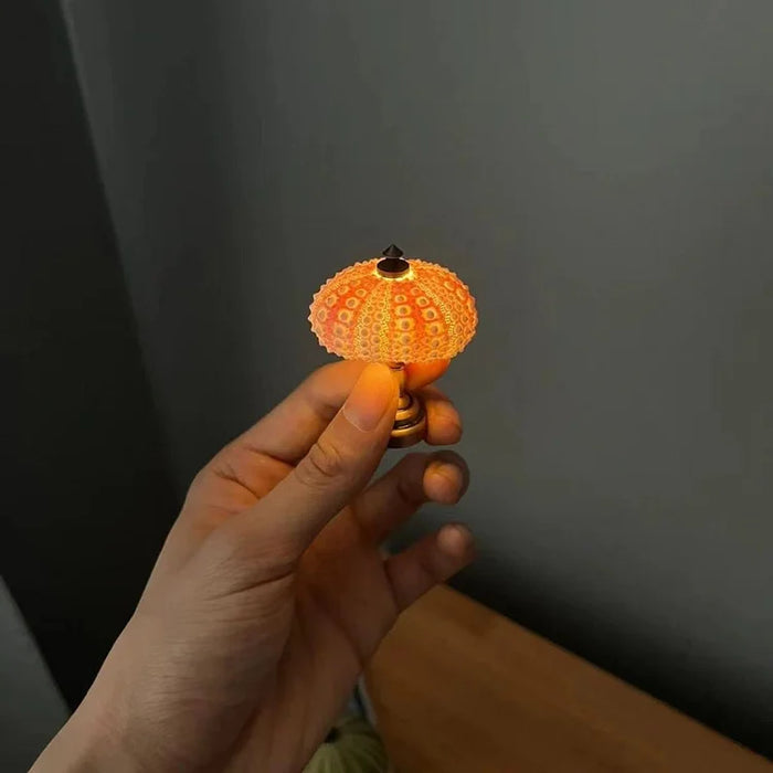 Nuova - DIY-Seeigel-Nachtlicht