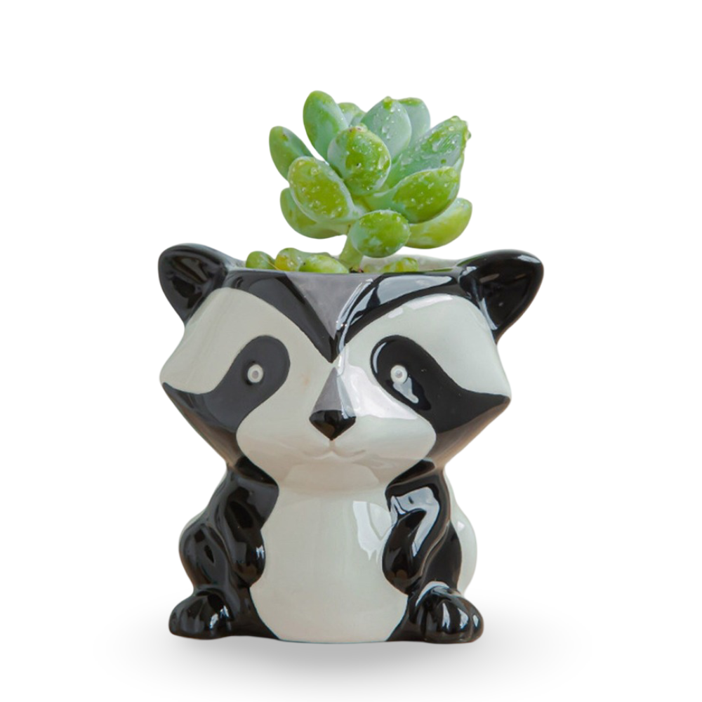 Tierische Sukkulenten Pflanzgefäße – Kreative Töpfe für Ihre Pflanzen