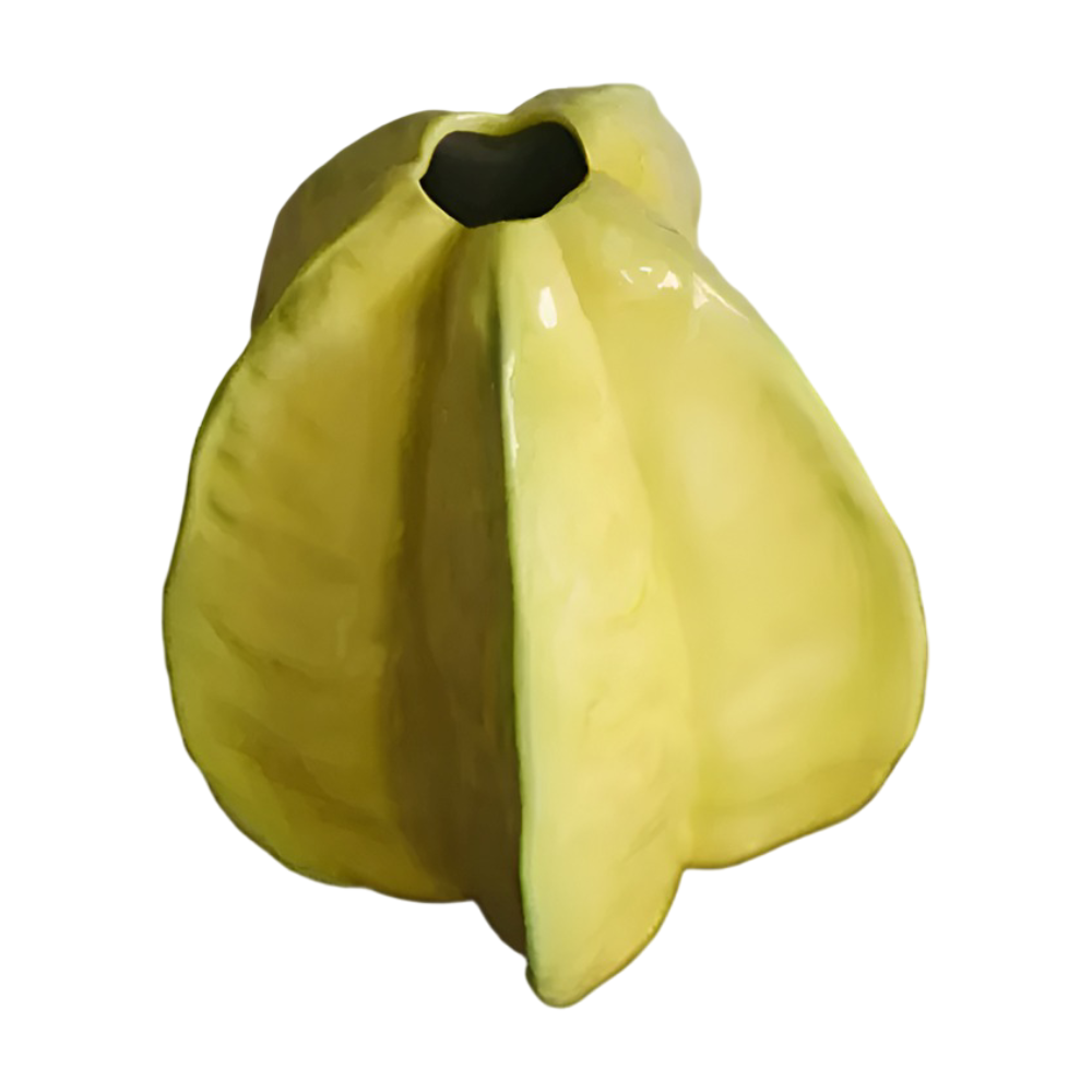 Artisan Gefertigter Keramik Sternfrucht Blütenvase - Auffälliges Dekoratives Wohnaccessoire