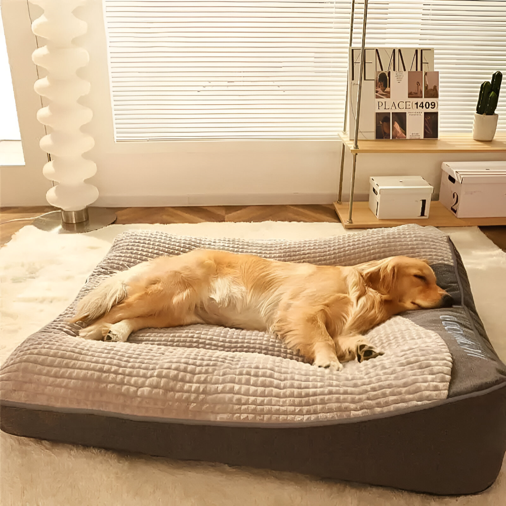 Anti-Stress Hundebett Beruhigend – Weiches Polster & Rand – XL bis 3XL