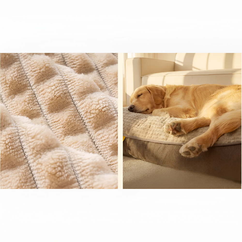 Anti-Stress Hundebett Beruhigend – Weiches Polster & Rand – XL bis 3XL