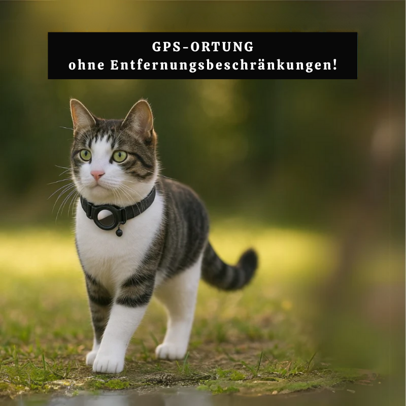PawTrack – Katzenhalsband mit Ortungs-Tracker ohne Abo