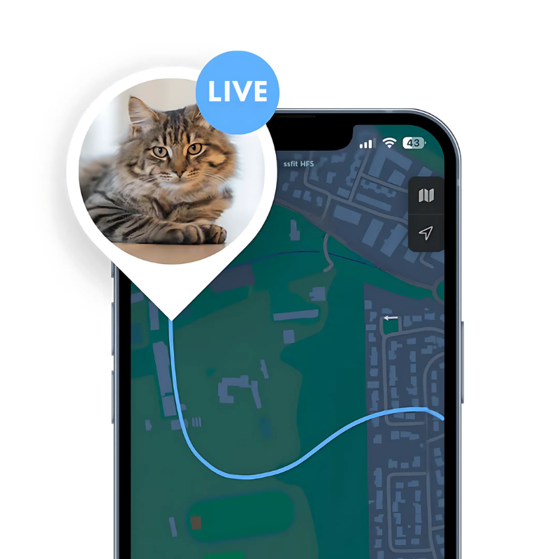 PawTrack – Katzenhalsband mit Ortungs-Tracker ohne Abo
