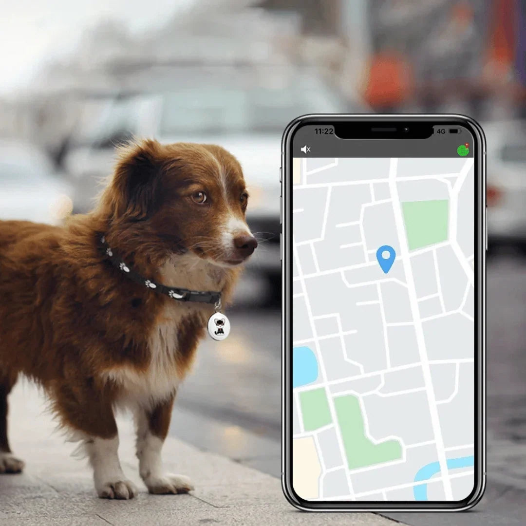 PetPin – Haustier-Tracker mit App-Ortung und Suchton für Hund & Katze