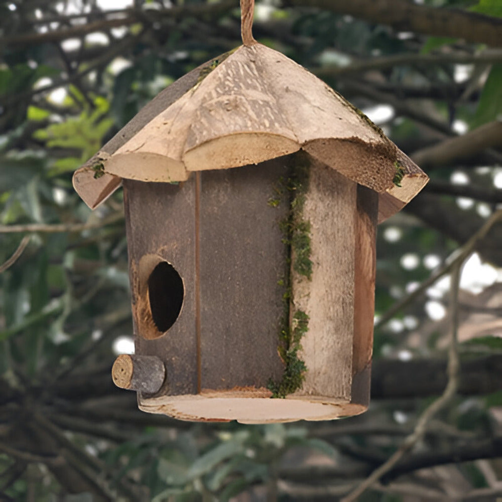 Holzvogelhaus - Natürlicher Holzvogelhaus -Kolibri-Nest