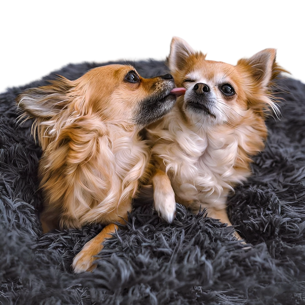 Paws - Bed - Donut Hundebett ultraweich aus Kunstfell mit