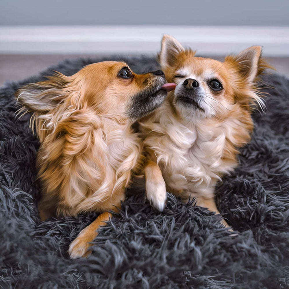 Paws - Bed - Donut Hundebett ultraweich aus Kunstfell mit