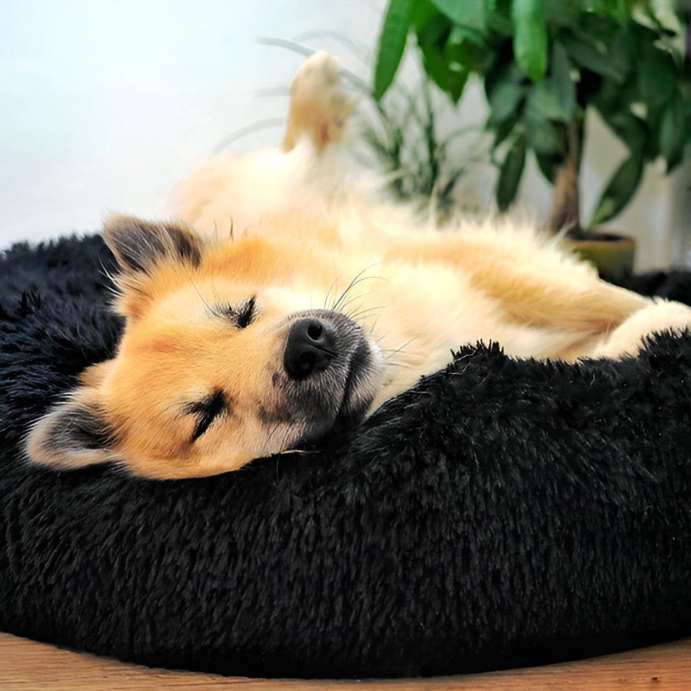 Paws - Bed - Donut Hundebett ultraweich aus Kunstfell mit