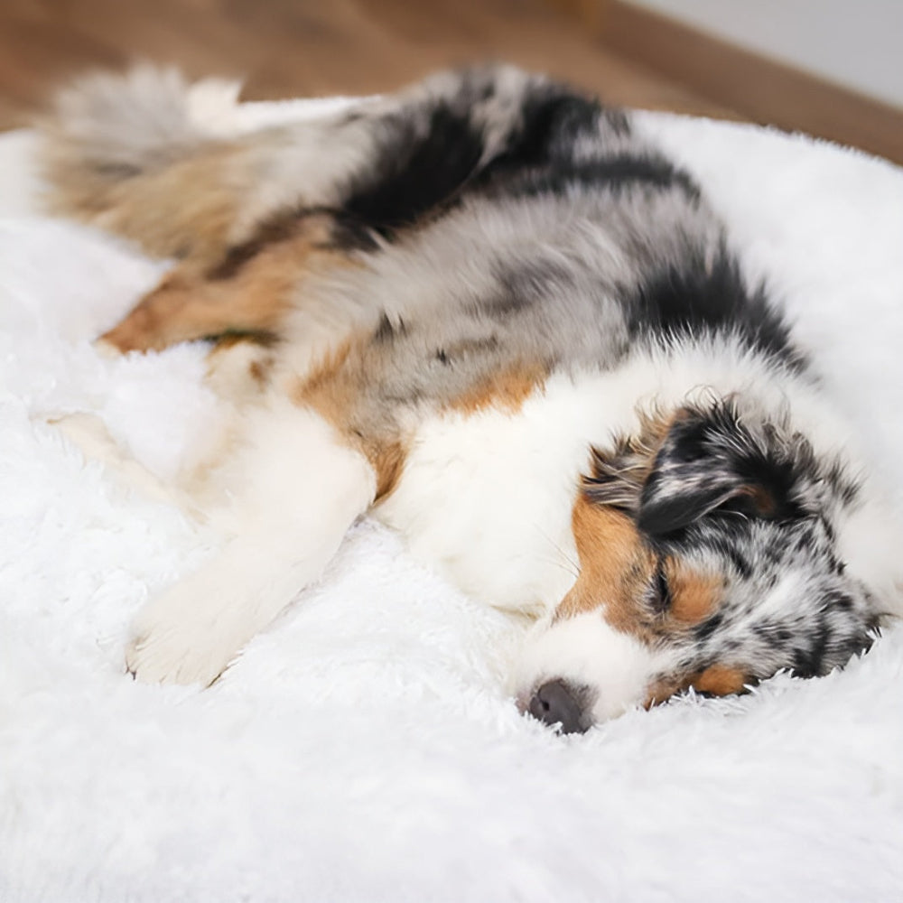 Paws - Bed - Donut Hundebett ultraweich aus Kunstfell mit