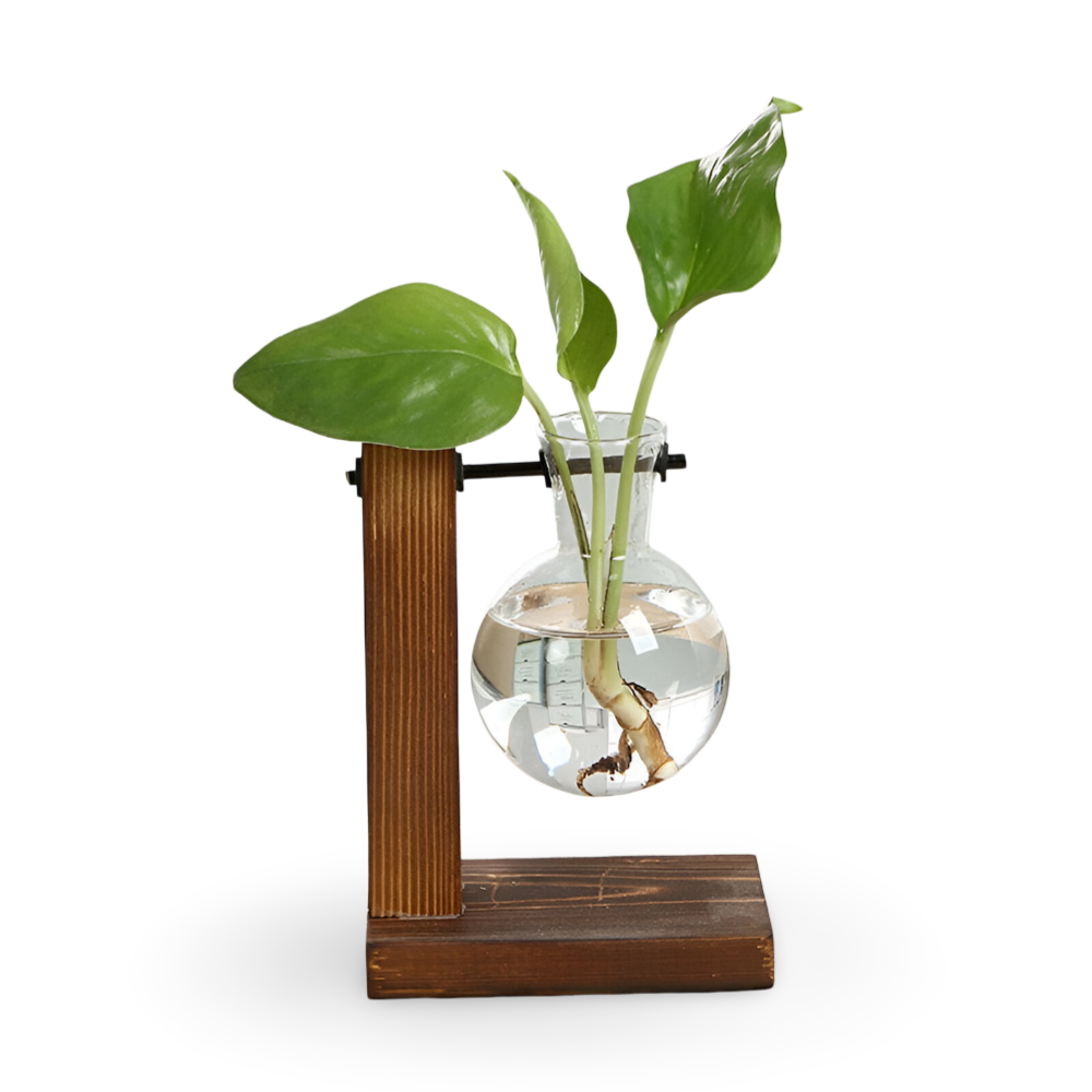 Rustikaler Holz Hydroponik Pflanzer für die Innengestaltung