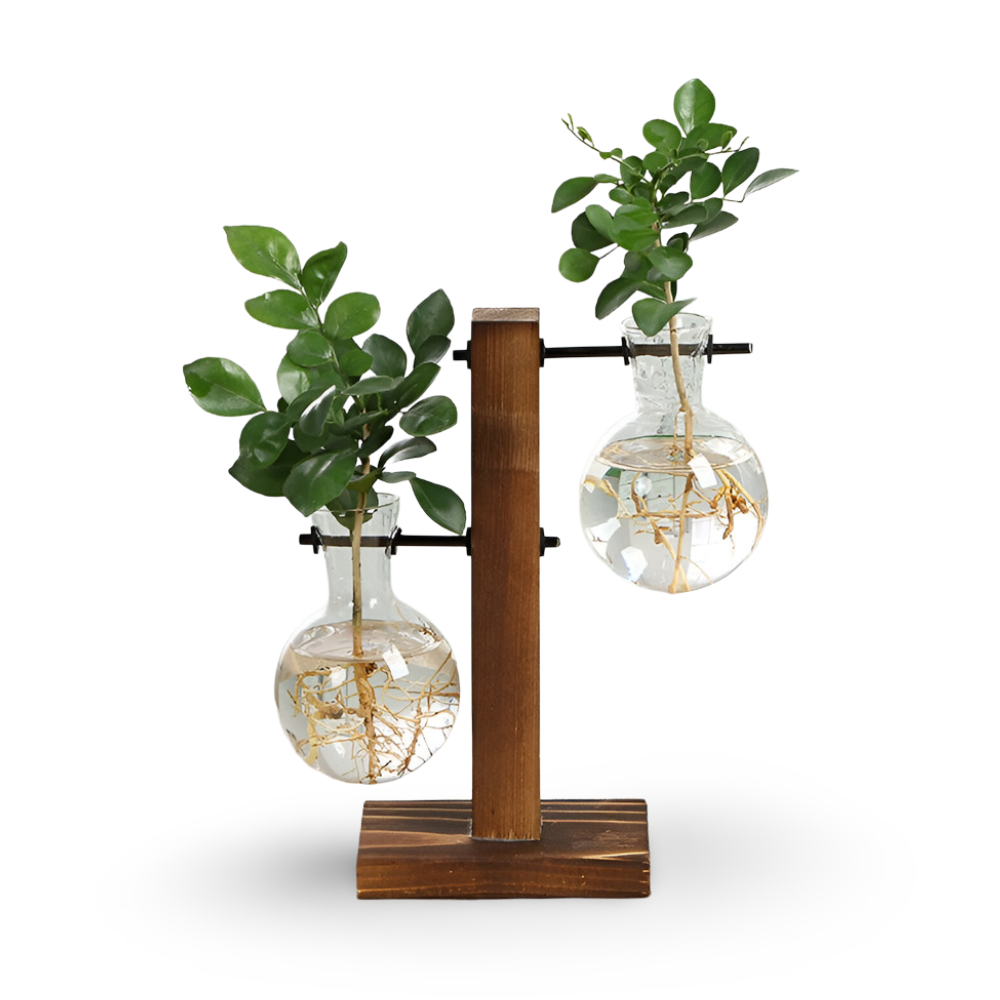 Rustikaler Holz Hydroponik Pflanzer für die Innengestaltung