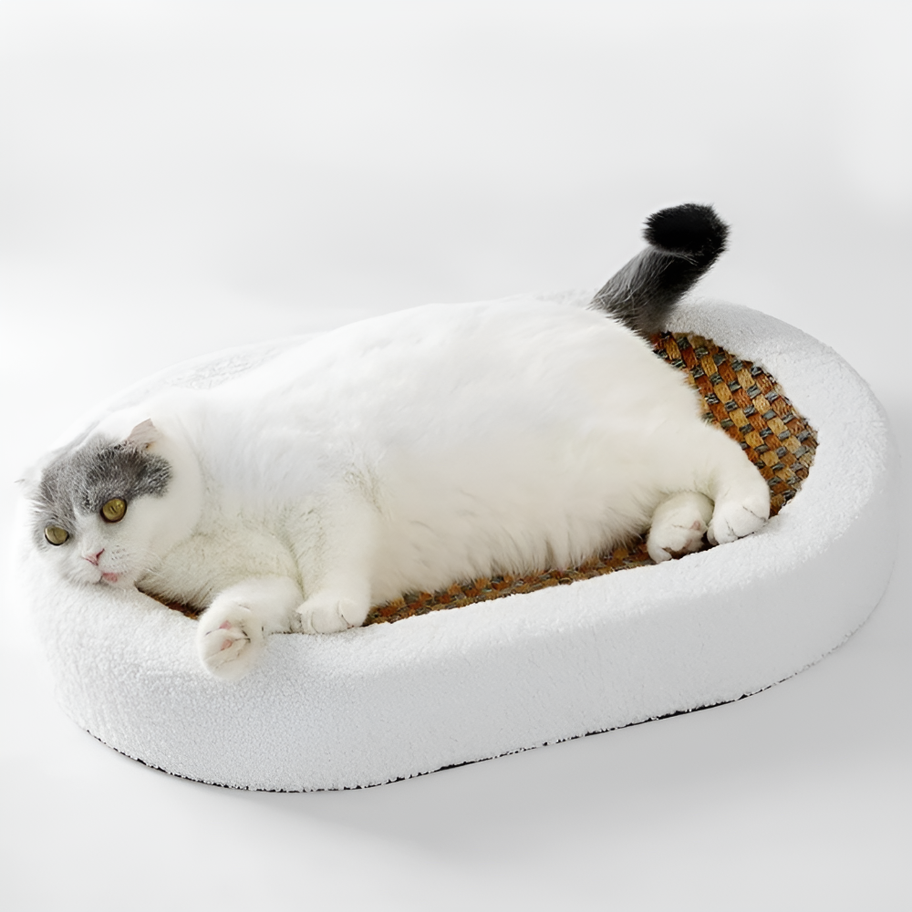 ScratchBed - Katzenkratzbett oval 61x40x9 cm