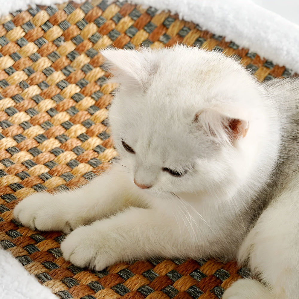 ScratchBed - Katzenkratzbett oval 61x40x9 cm