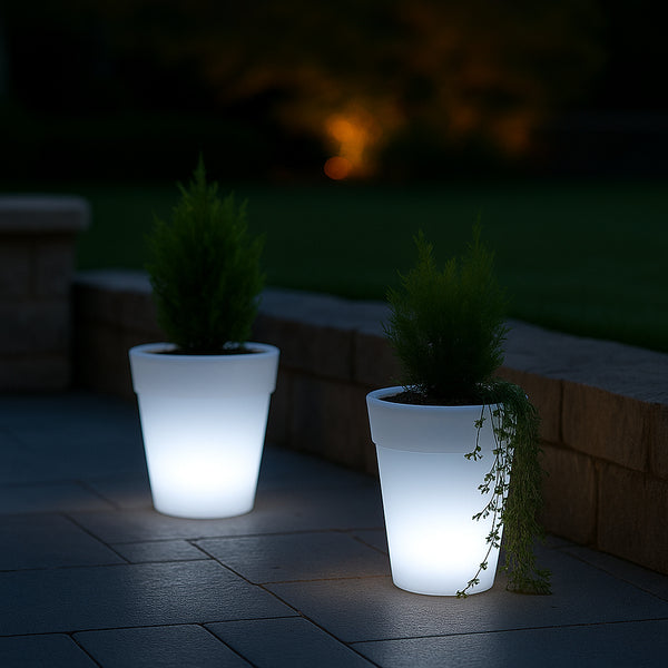 Nachhaltig und stilvoll: Der solarbetriebene Pflanzenhalter mit Beleuchtung setzt Ihre Lieblingsp...