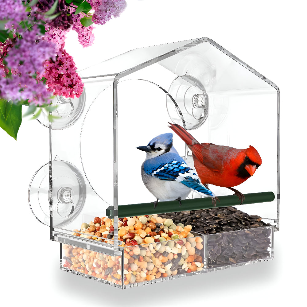 TrayHaven - Fenster-Vogelfutterhaus transparent aus Acryl