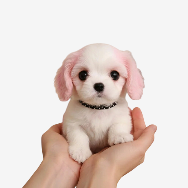 PawTactix - Interaktiver Plüschhund mit Berührungsaktivierter Bewegung und Bellen