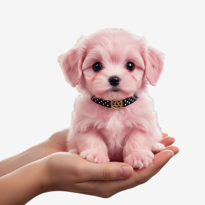 PawTactix - Interaktiver Plüschhund mit Berührungsaktivierter Bewegung und Bellen